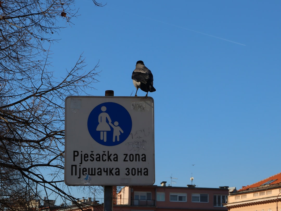 Polskie regionalne stroje ludowe: tradycja i kolorystyka